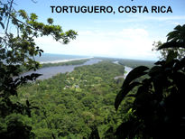 Tortuguero,costa...