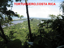 Tortuguero,costa...