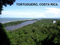 TORTUGUERO,COSTA RICA,2009