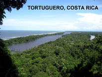 Tortuguero,costa...