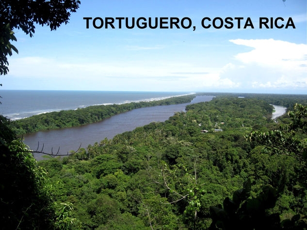 TORTUGUERO,COSTA RICA,2009 