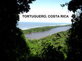 TORTUGUERO,COSTA RICA,2009