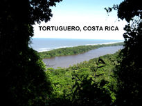 Tortuguero,costa...