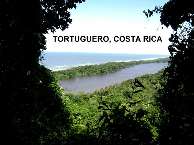 TORTUGUERO,COSTA RICA,2009 