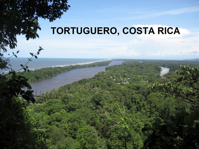 TORTUGUERO,COSTA RICA,2009 