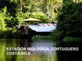 ESTACIÓN BIOLOGICA, TORTUGUERO,COSTA RICA