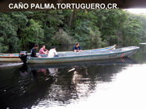 Caño palma...