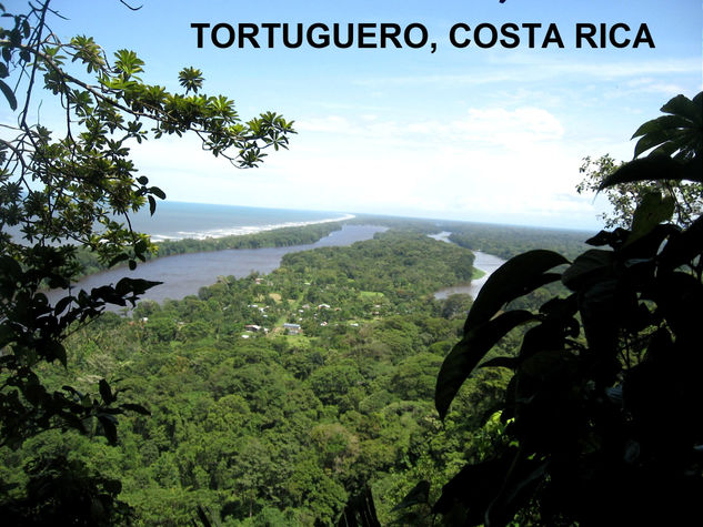 TORTUGUERO,COSTA RICA,2009 