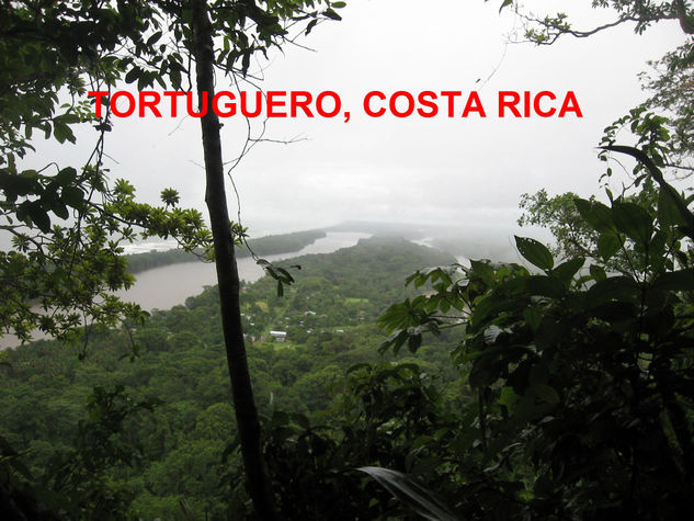 TORTUGUERO,COSTA RICA,2009 