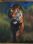 Tigre
