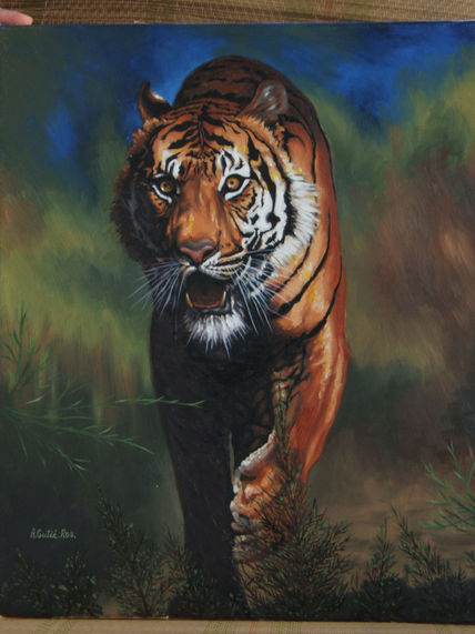 Tigre