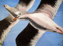 Gaviotas en vuelo