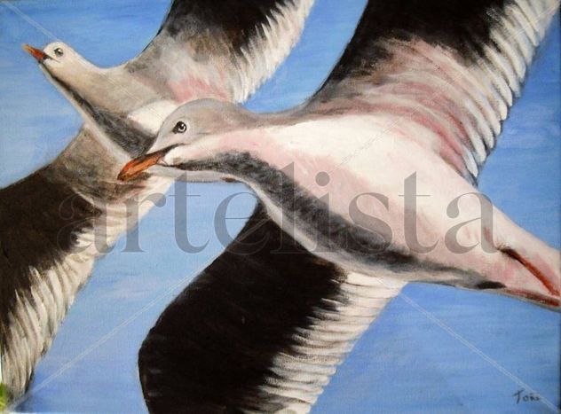 gaviotas en vuelo