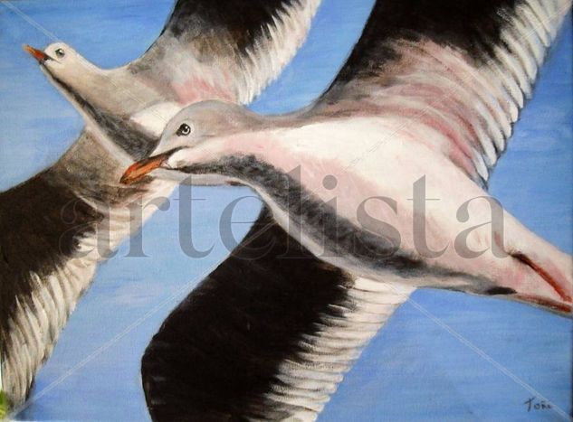 gaviotas en vuelo Oil Canvas Animals