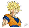 Goku Color