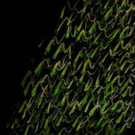 SERIE PERCEPTALIA thumbnail 1