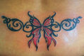 mariposa