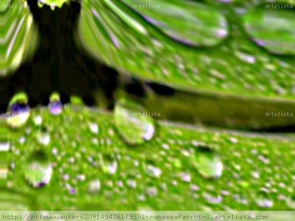 GOTAS DE  LLUVIA