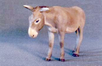 Burro Others