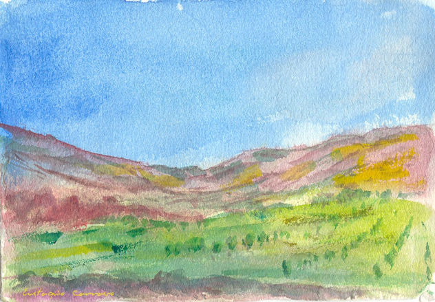 Paisaje desde el cerro Venik