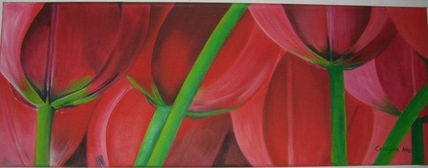 Tulipanes