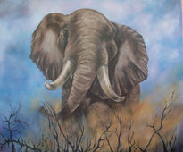 Elefante