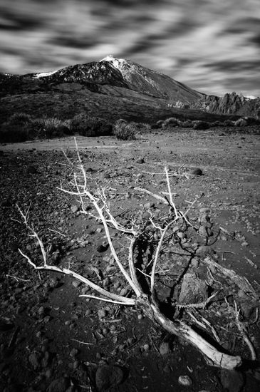 Teide Naturaleza Blanco y Negro (Digital)