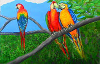 Guacamayas