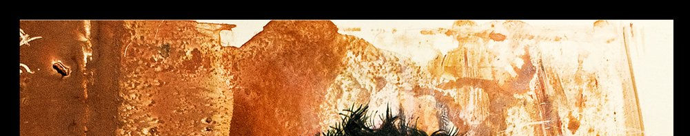 Imagen de portada