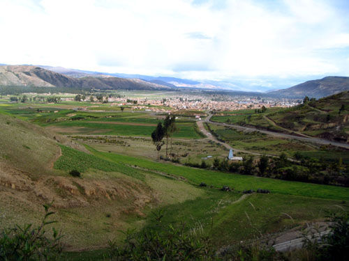 Jauja