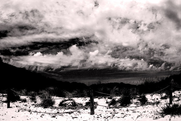 playa trebalúger Nature Black and White (Digital)