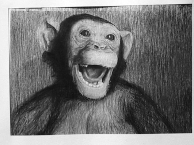 chimpances Graphite