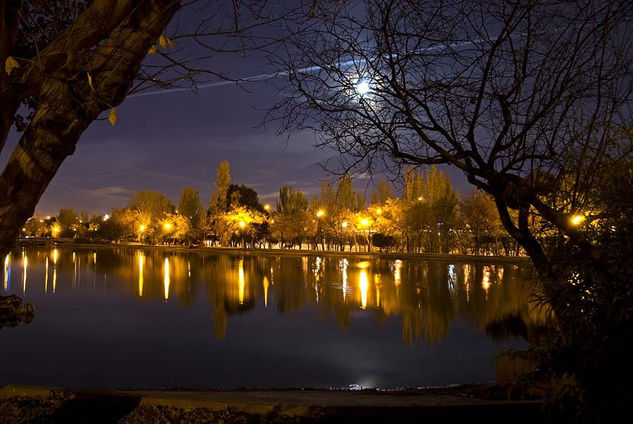 Noche de Parque madrileño Naturaleza Color (Digital)