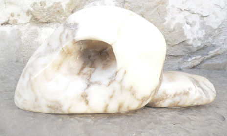 cabeza de pato-caracol
