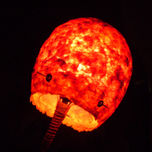ILUMINACION thumbnail 2