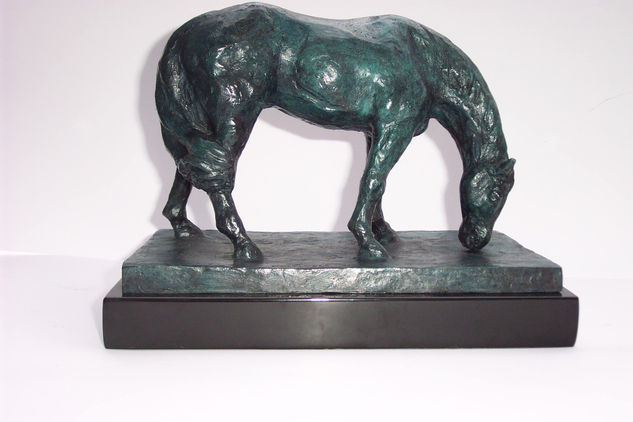 Caballo Bronze Figurative