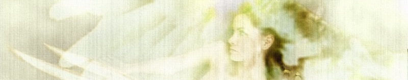 Imagen de portada