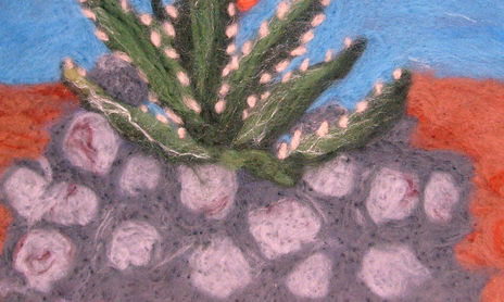 PIANTE ESOTICHE MEDITERRANEE
