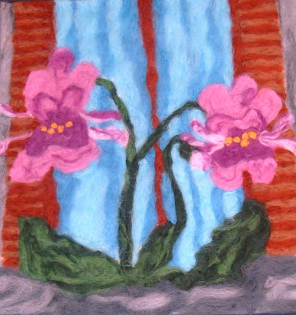 Orchidee
