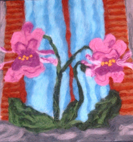 Orchidee