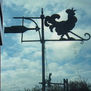 gallo