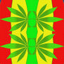 superrasta