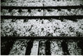 waiting for the train