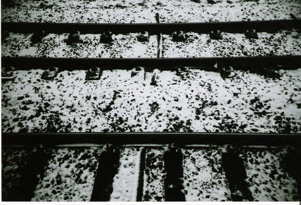 Waiting for the train