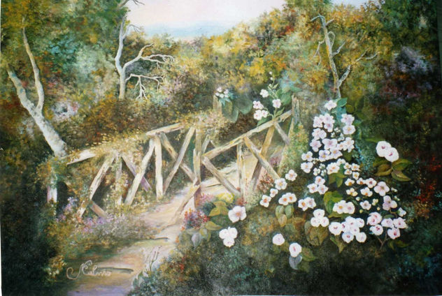 viejo puente sobre el rio Arnoya