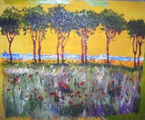 Arbres en bord de mer