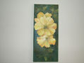 flor del aire
