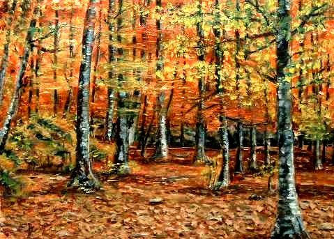 Bosque en otoño Oil Canvas Landscaping