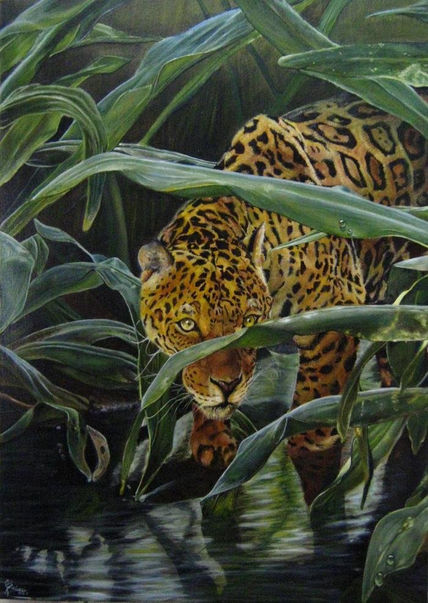 Jaguar