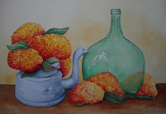 BODEGON Watercolour Paper Still Life Paintings